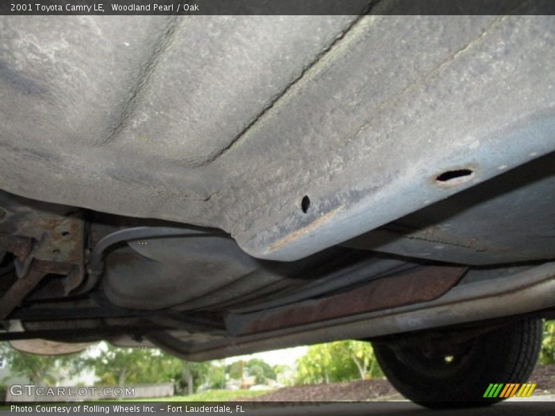 Woodland Pearl / Oak 2001 Toyota Camry LE