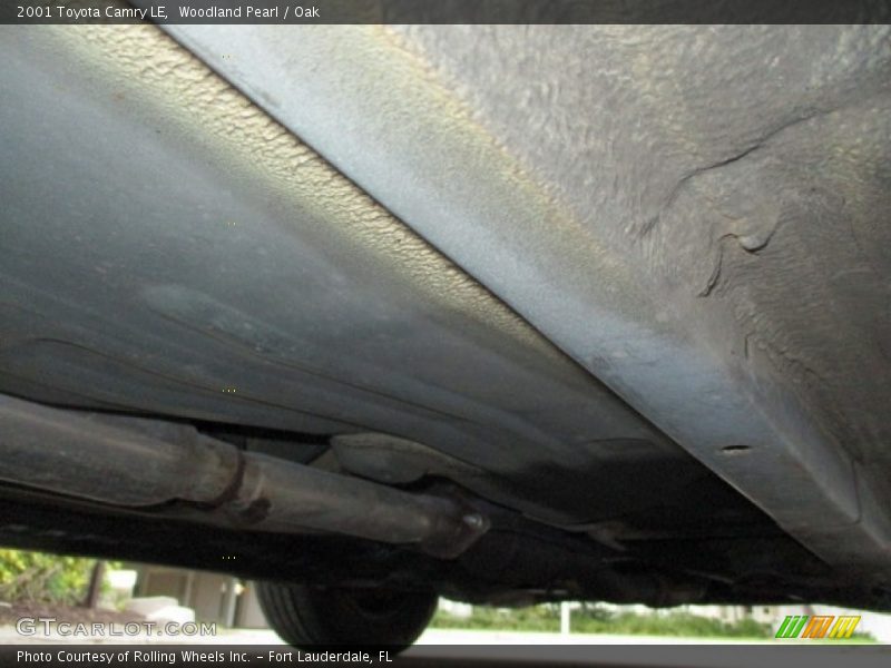 Woodland Pearl / Oak 2001 Toyota Camry LE