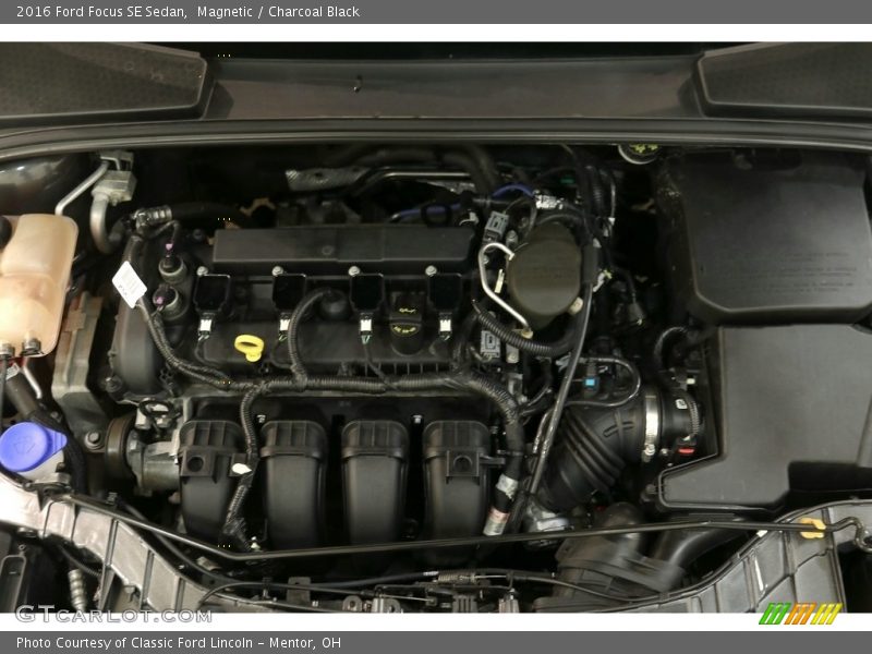 Magnetic / Charcoal Black 2016 Ford Focus SE Sedan
