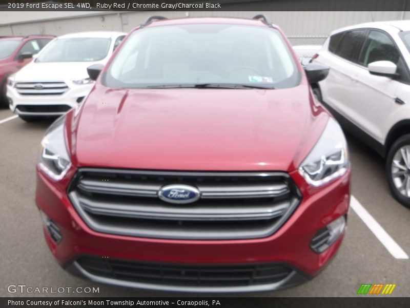 Ruby Red / Chromite Gray/Charcoal Black 2019 Ford Escape SEL 4WD