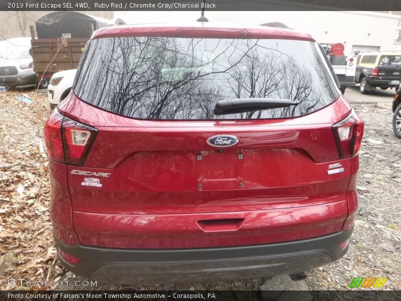Ruby Red / Chromite Gray/Charcoal Black 2019 Ford Escape SEL 4WD