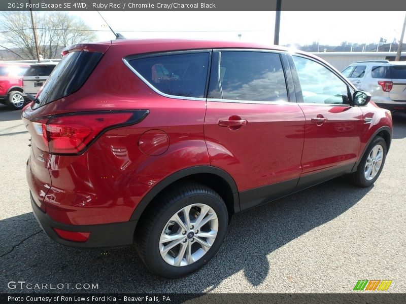 Ruby Red / Chromite Gray/Charcoal Black 2019 Ford Escape SE 4WD