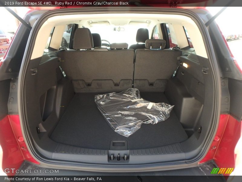 Ruby Red / Chromite Gray/Charcoal Black 2019 Ford Escape SE 4WD
