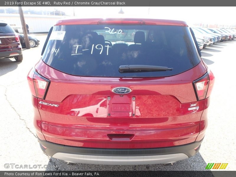 Ruby Red / Chromite Gray/Charcoal Black 2019 Ford Escape SE 4WD