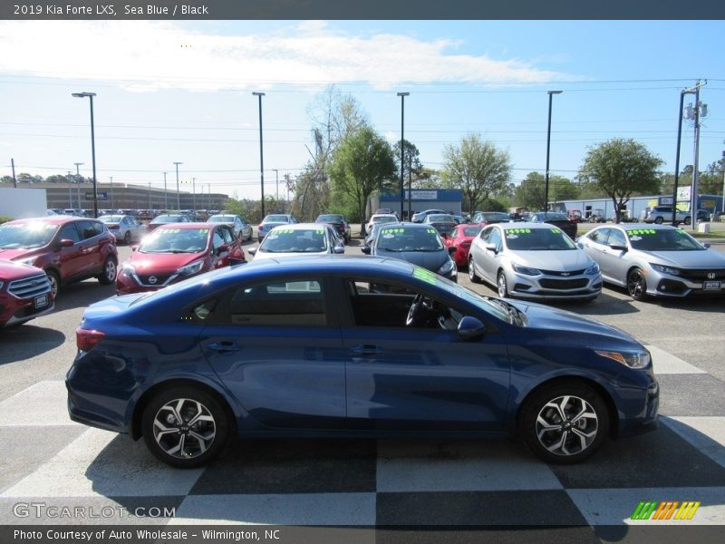 Sea Blue / Black 2019 Kia Forte LXS