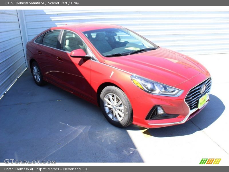 Scarlet Red / Gray 2019 Hyundai Sonata SE