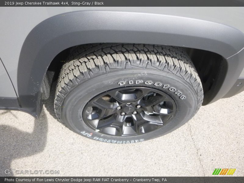 Sting-Gray / Black 2019 Jeep Cherokee Trailhawk 4x4