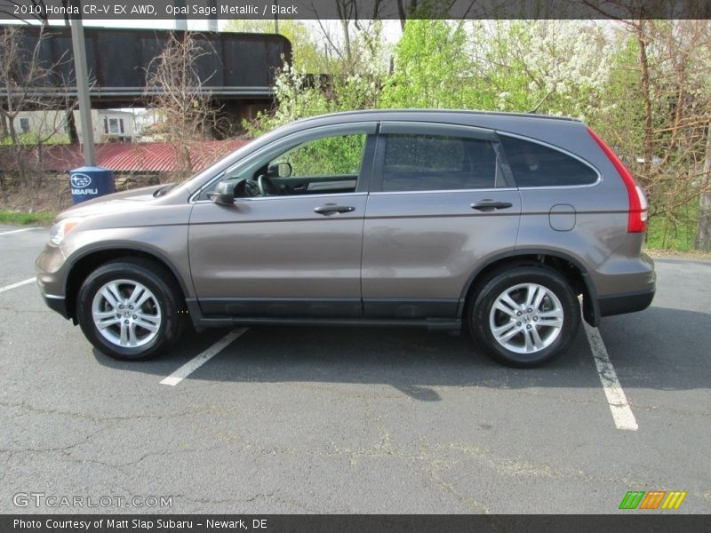 Opal Sage Metallic / Black 2010 Honda CR-V EX AWD