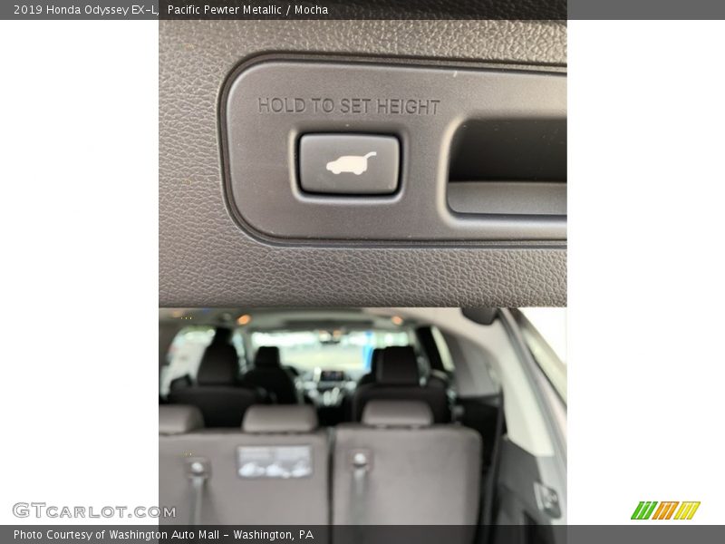 Pacific Pewter Metallic / Mocha 2019 Honda Odyssey EX-L