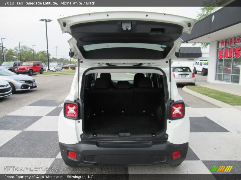 Alpine White / Black 2018 Jeep Renegade Latitude