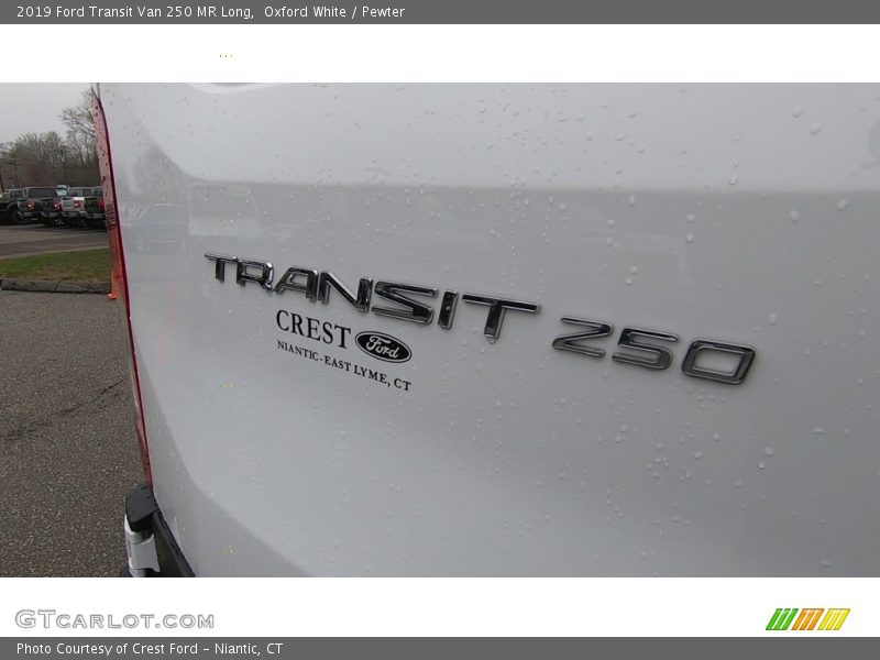 Oxford White / Pewter 2019 Ford Transit Van 250 MR Long