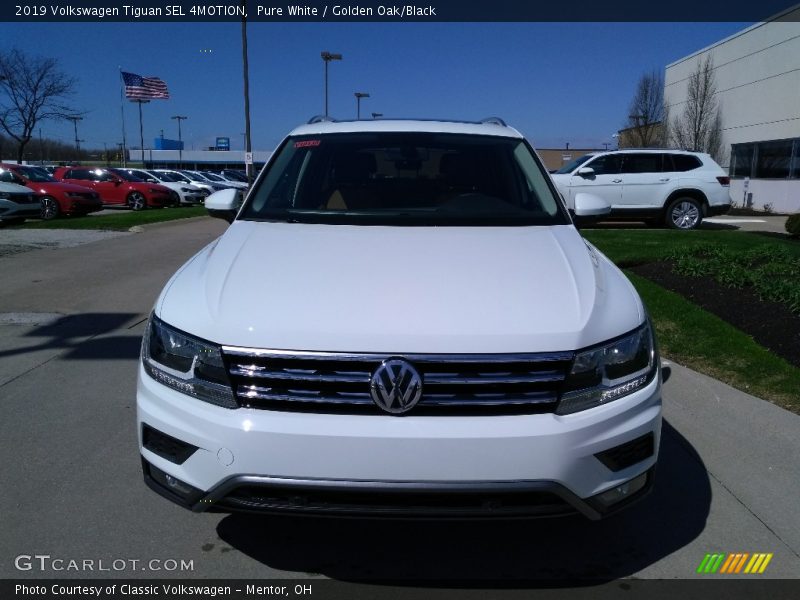 Pure White / Golden Oak/Black 2019 Volkswagen Tiguan SEL 4MOTION