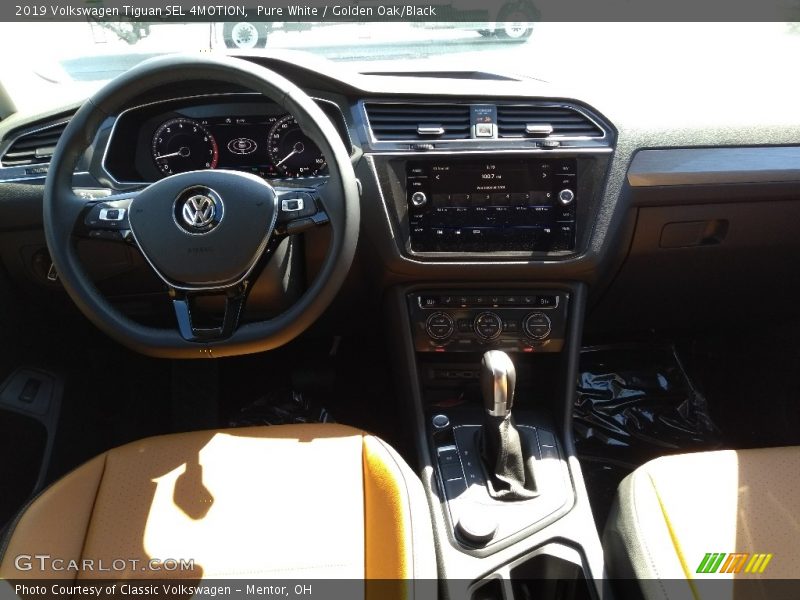 Pure White / Golden Oak/Black 2019 Volkswagen Tiguan SEL 4MOTION