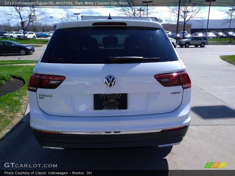 Pure White / Golden Oak/Black 2019 Volkswagen Tiguan SEL 4MOTION