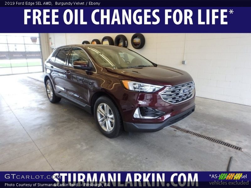 Burgundy Velvet / Ebony 2019 Ford Edge SEL AWD