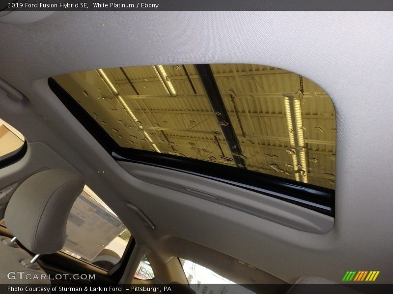 White Platinum / Ebony 2019 Ford Fusion Hybrid SE