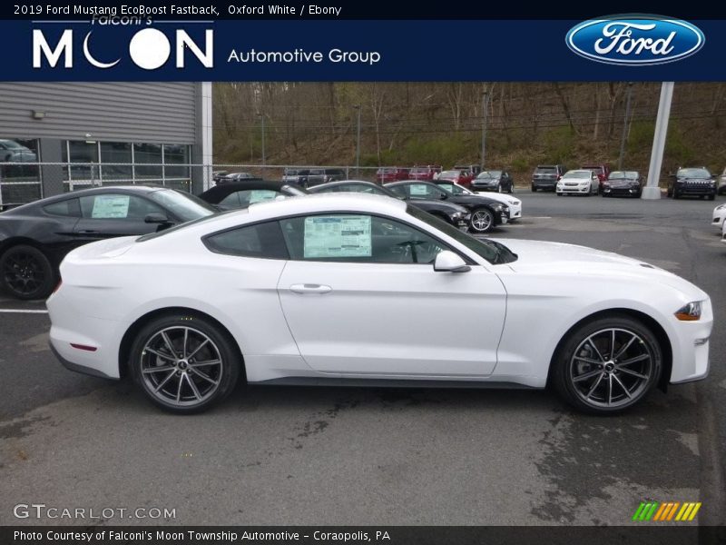 Oxford White / Ebony 2019 Ford Mustang EcoBoost Fastback