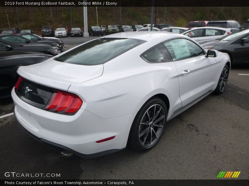 Oxford White / Ebony 2019 Ford Mustang EcoBoost Fastback