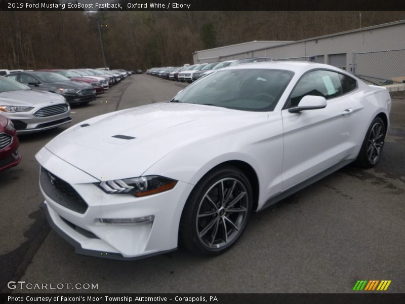 Front 3/4 View of 2019 Mustang EcoBoost Fastback