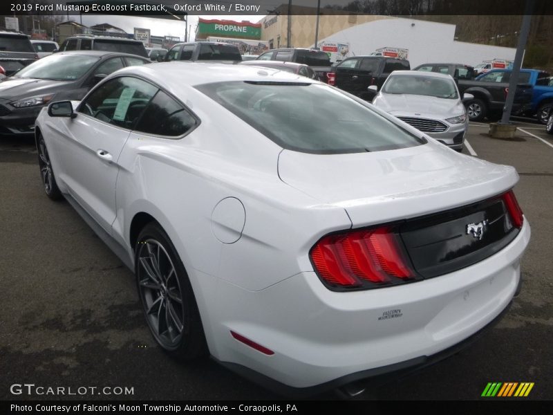 Oxford White / Ebony 2019 Ford Mustang EcoBoost Fastback
