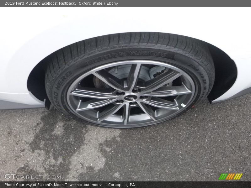Oxford White / Ebony 2019 Ford Mustang EcoBoost Fastback
