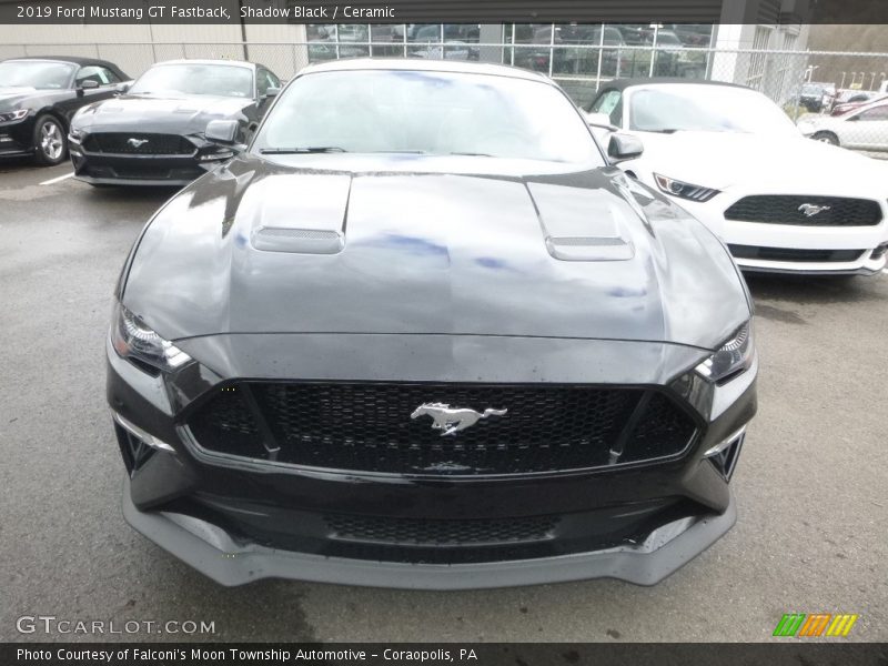 Shadow Black / Ceramic 2019 Ford Mustang GT Fastback