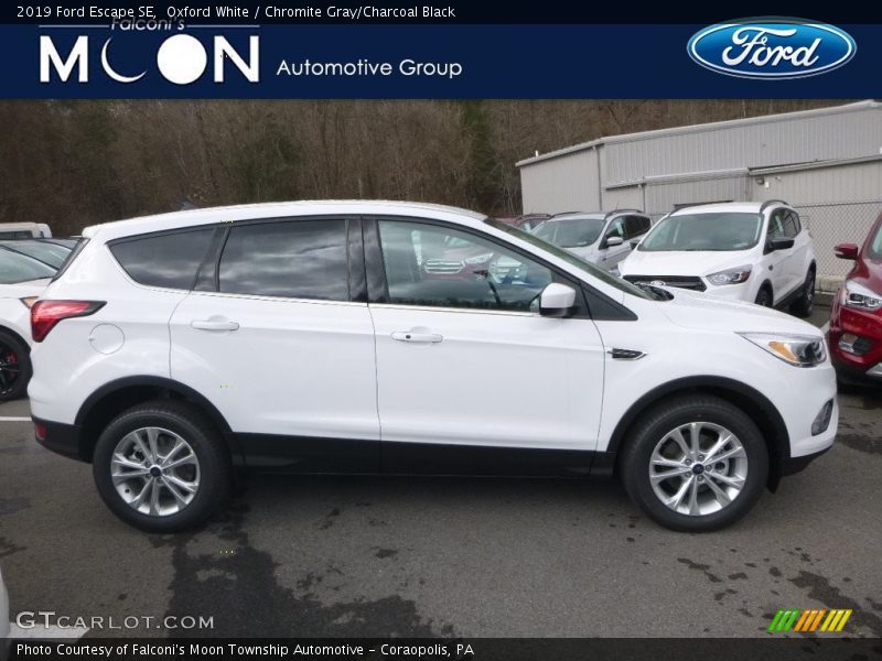 Oxford White / Chromite Gray/Charcoal Black 2019 Ford Escape SE