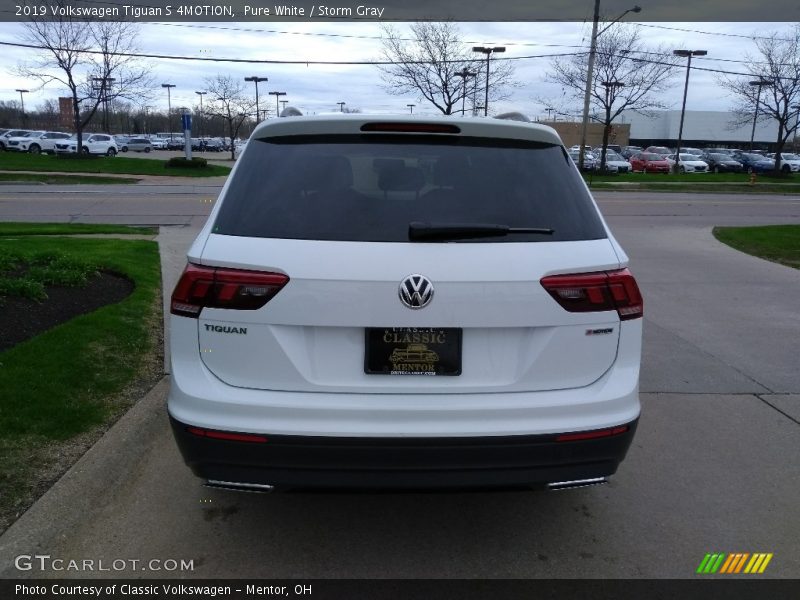 Pure White / Storm Gray 2019 Volkswagen Tiguan S 4MOTION