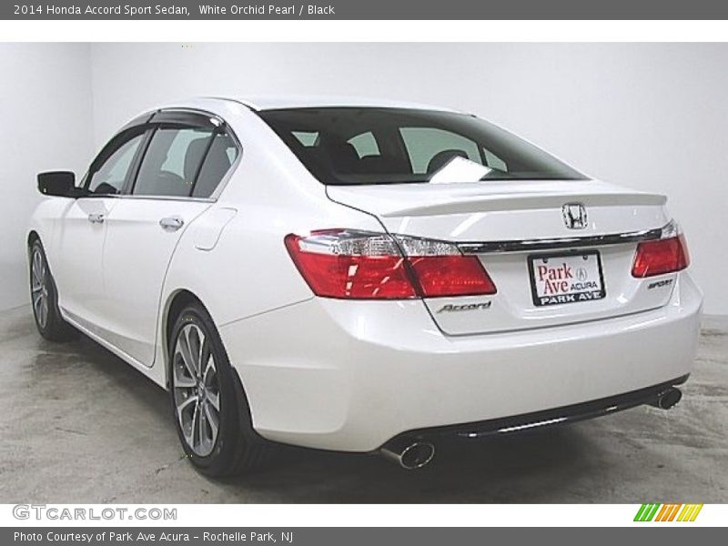 White Orchid Pearl / Black 2014 Honda Accord Sport Sedan