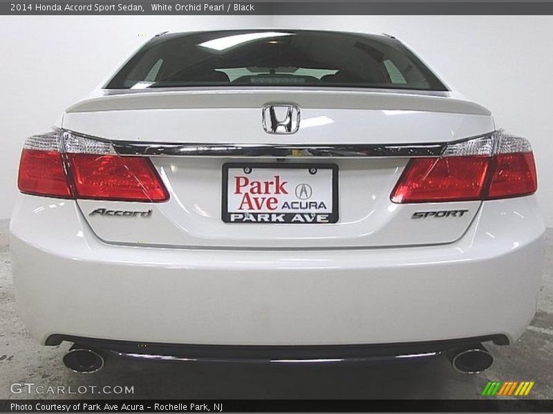 White Orchid Pearl / Black 2014 Honda Accord Sport Sedan