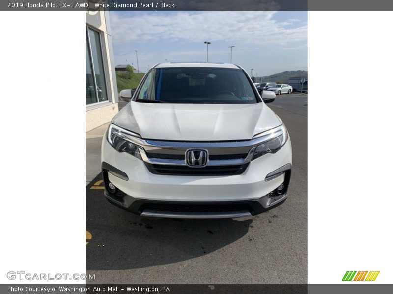 White Diamond Pearl / Black 2019 Honda Pilot EX-L AWD