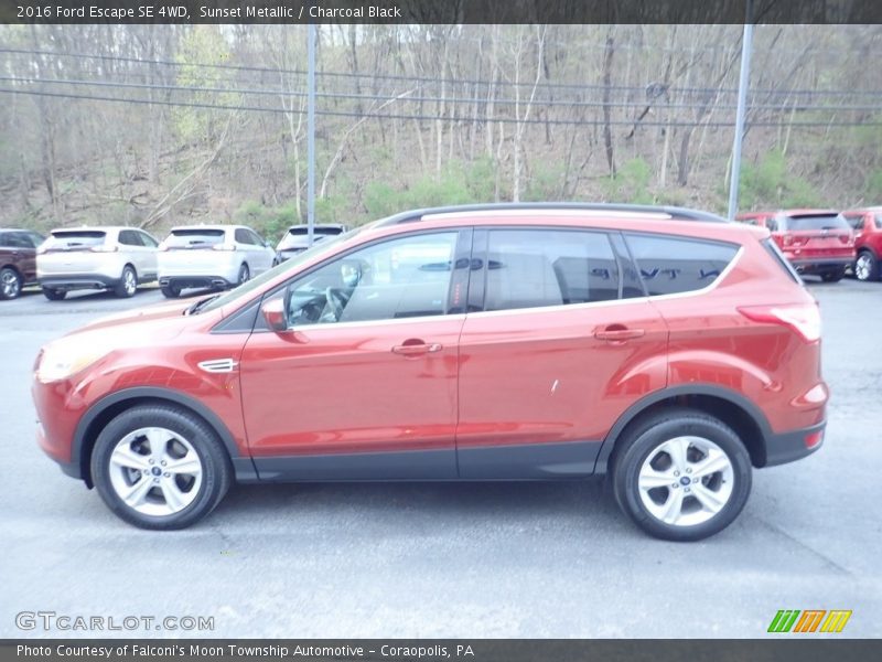 Sunset Metallic / Charcoal Black 2016 Ford Escape SE 4WD