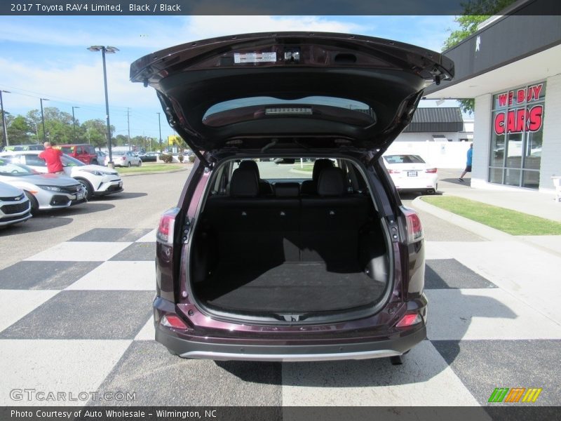 Black / Black 2017 Toyota RAV4 Limited