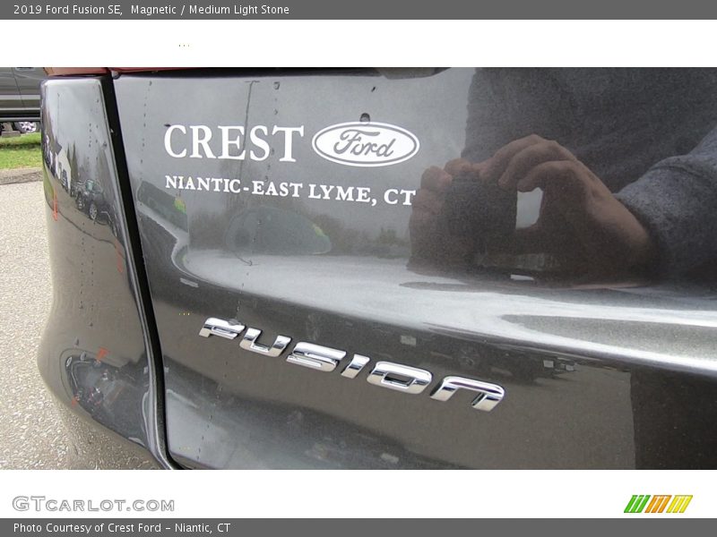 Magnetic / Medium Light Stone 2019 Ford Fusion SE