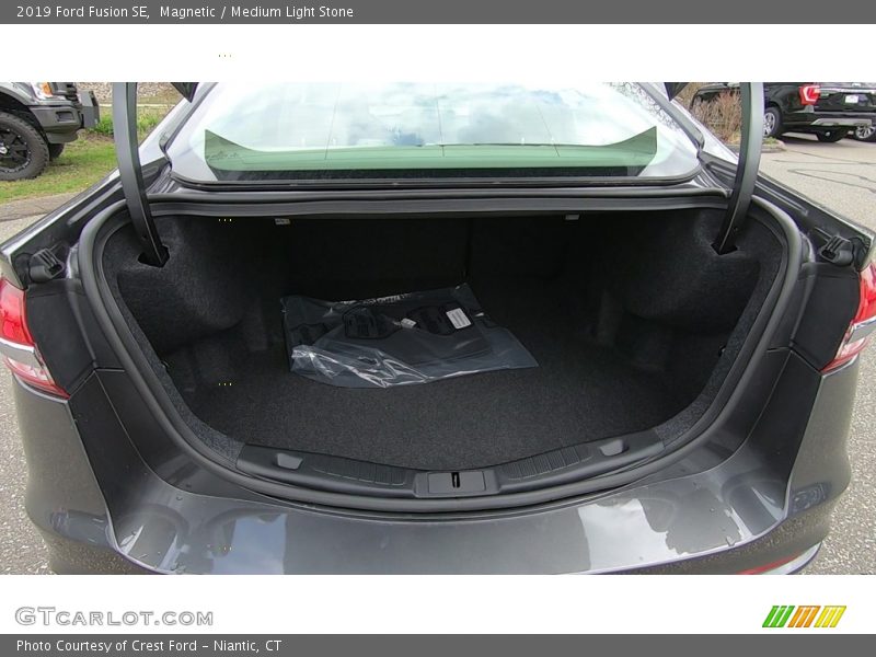 Magnetic / Medium Light Stone 2019 Ford Fusion SE