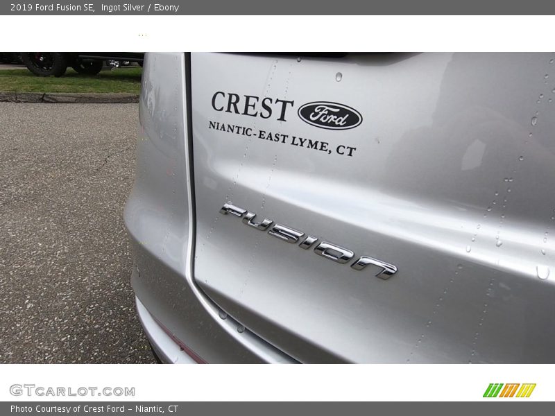 Ingot Silver / Ebony 2019 Ford Fusion SE