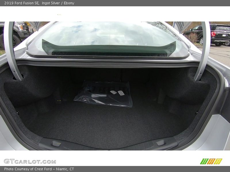 Ingot Silver / Ebony 2019 Ford Fusion SE