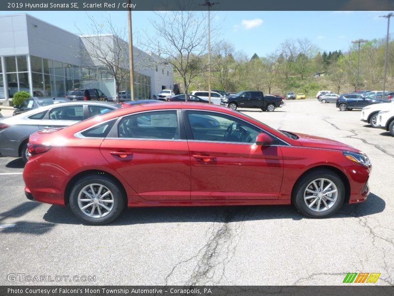 Scarlet Red / Gray 2019 Hyundai Sonata SE