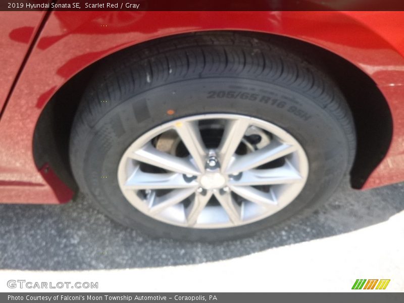 Scarlet Red / Gray 2019 Hyundai Sonata SE
