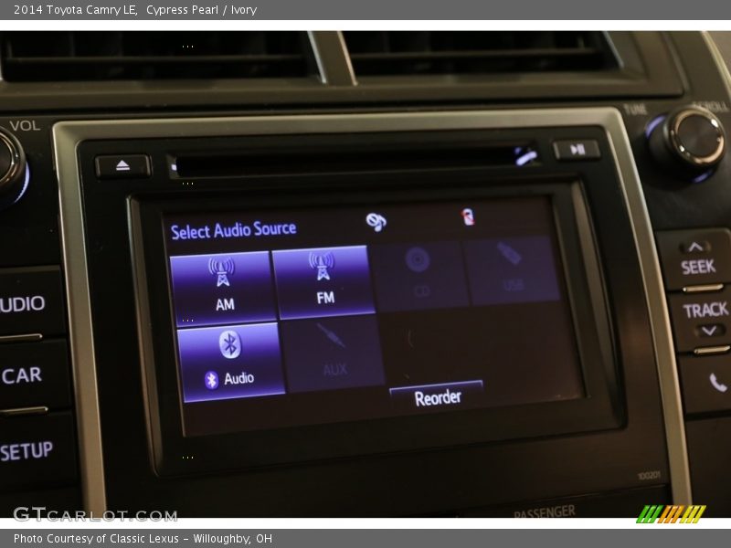 Cypress Pearl / Ivory 2014 Toyota Camry LE