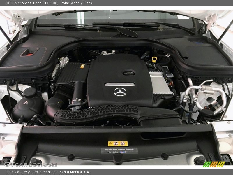 Polar White / Black 2019 Mercedes-Benz GLC 300