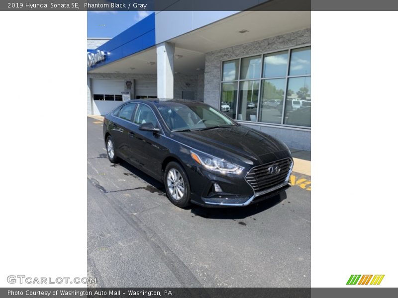 Phantom Black / Gray 2019 Hyundai Sonata SE