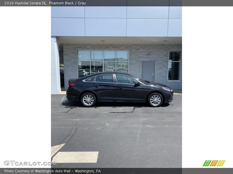 Phantom Black / Gray 2019 Hyundai Sonata SE