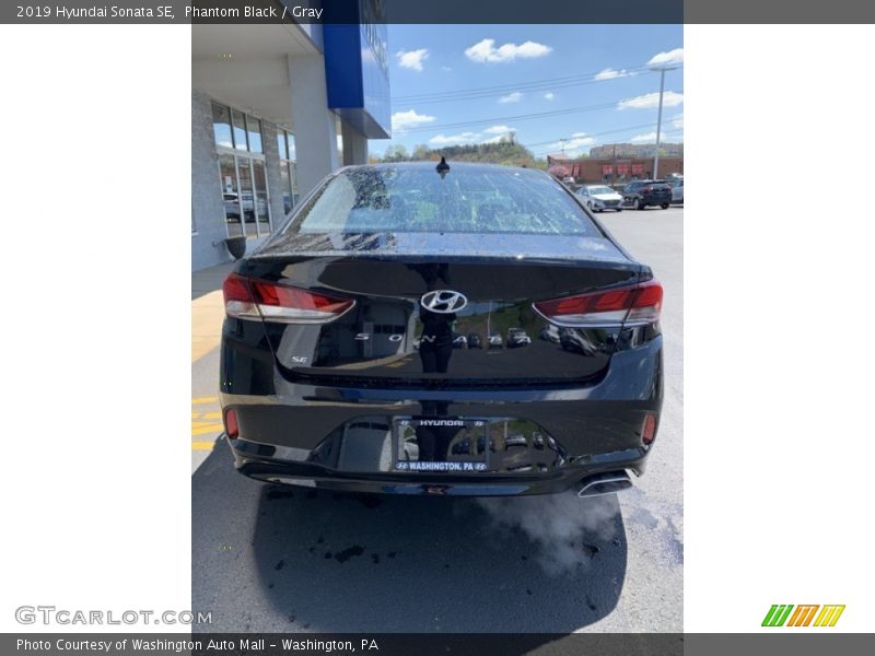 Phantom Black / Gray 2019 Hyundai Sonata SE