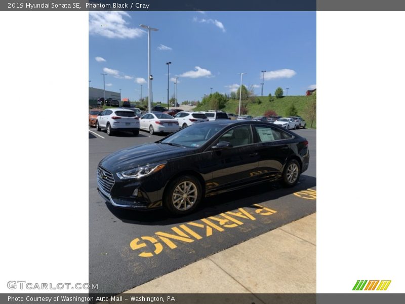 Phantom Black / Gray 2019 Hyundai Sonata SE