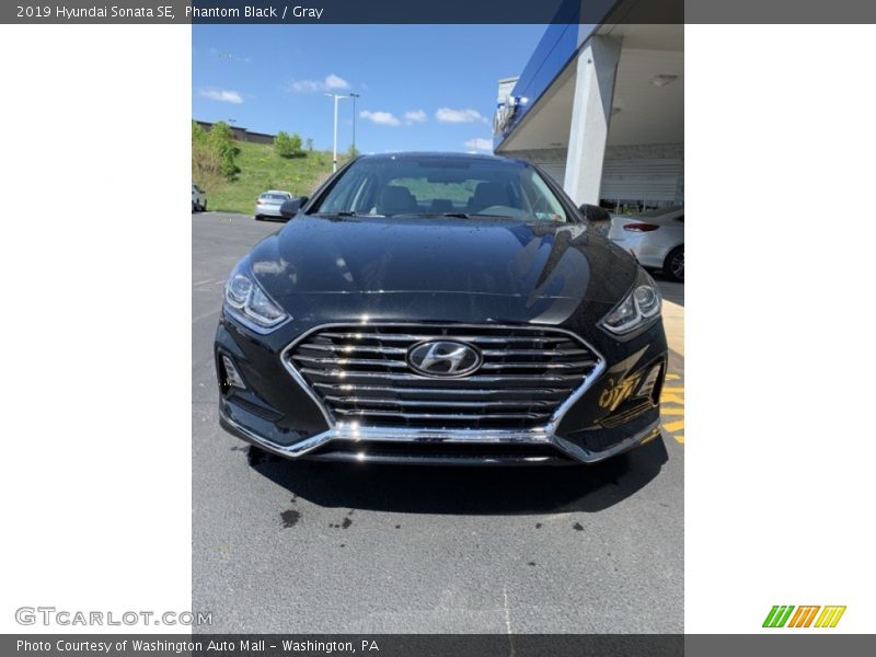 Phantom Black / Gray 2019 Hyundai Sonata SE
