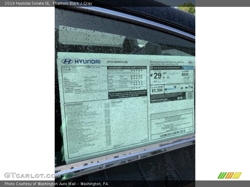Phantom Black / Gray 2019 Hyundai Sonata SE