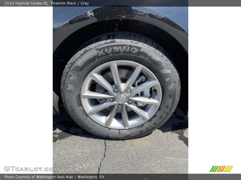 Phantom Black / Gray 2019 Hyundai Sonata SE