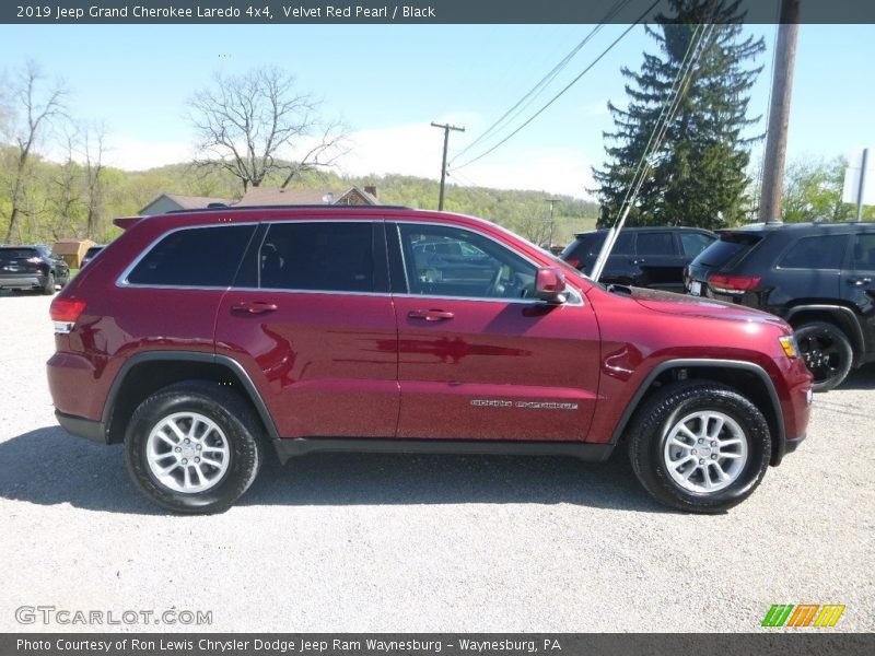 Velvet Red Pearl / Black 2019 Jeep Grand Cherokee Laredo 4x4