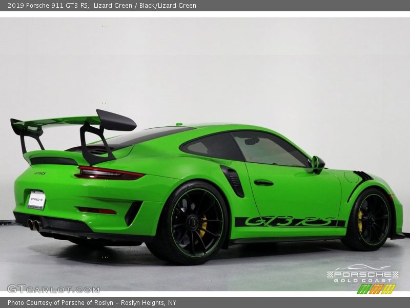 Lizard Green / Black/Lizard Green 2019 Porsche 911 GT3 RS